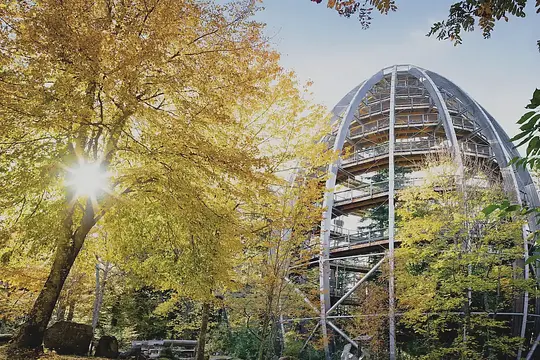 Aktivresort-Bischofsmais
