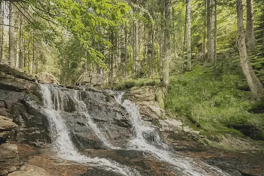 Aktivresort-Bischofsmais