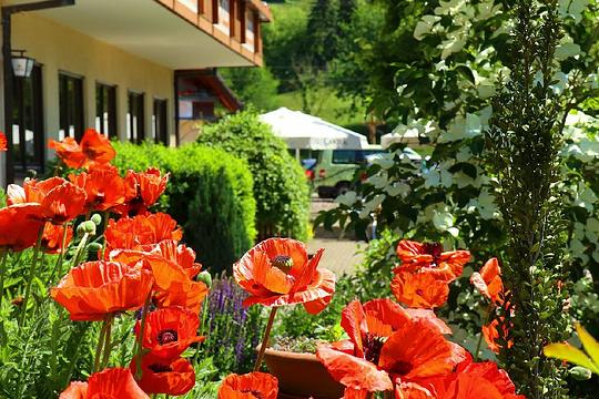 Landgasthof Adler-Pelzmühle