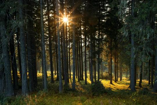 Hotel Biolandhaus Arche